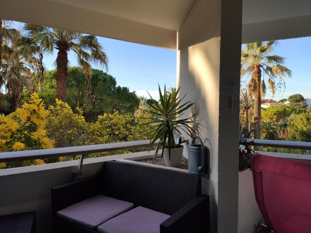 Tres Beau T2 Dans Parc Montfleury ,Proche Centre ,Au Calme 44 Bd Montfleury Leilighet Cannes Eksteriør bilde