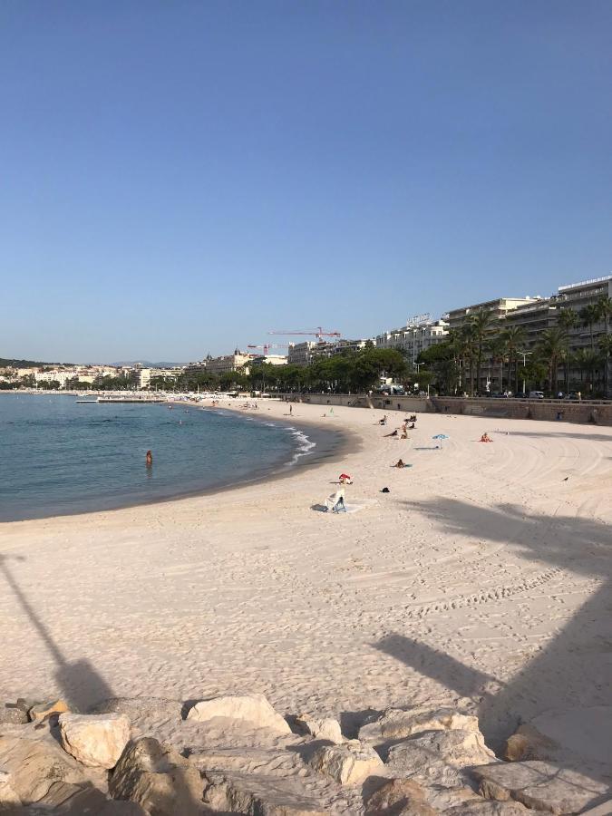 Tres Beau T2 Dans Parc Montfleury ,Proche Centre ,Au Calme 44 Bd Montfleury Leilighet Cannes Eksteriør bilde