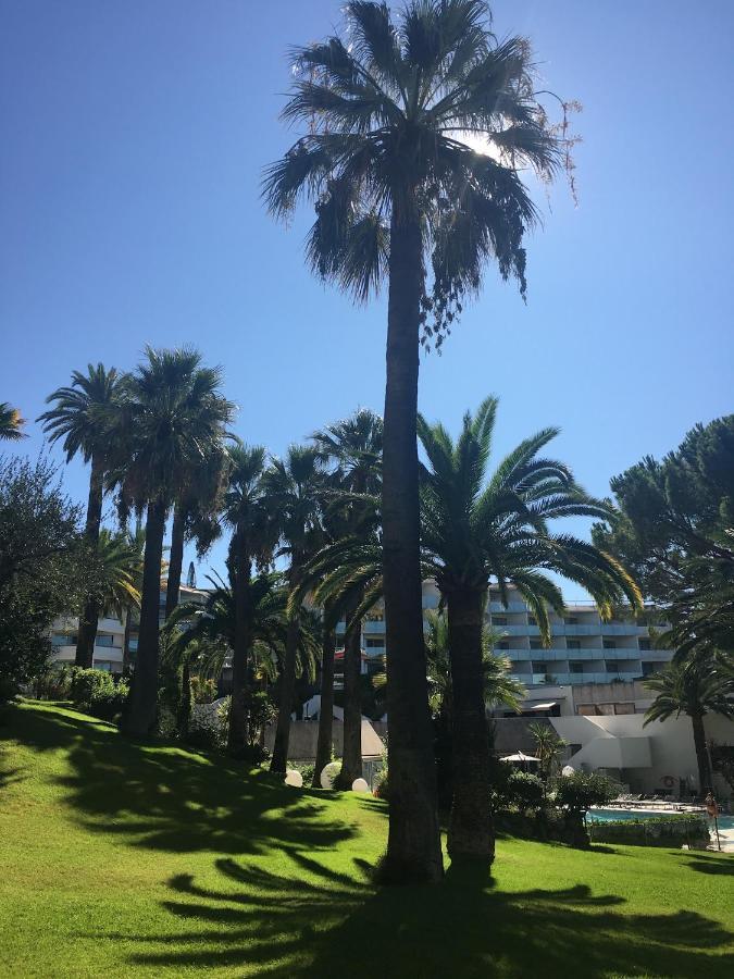 Tres Beau T2 Dans Parc Montfleury ,Proche Centre ,Au Calme 44 Bd Montfleury Leilighet Cannes Eksteriør bilde