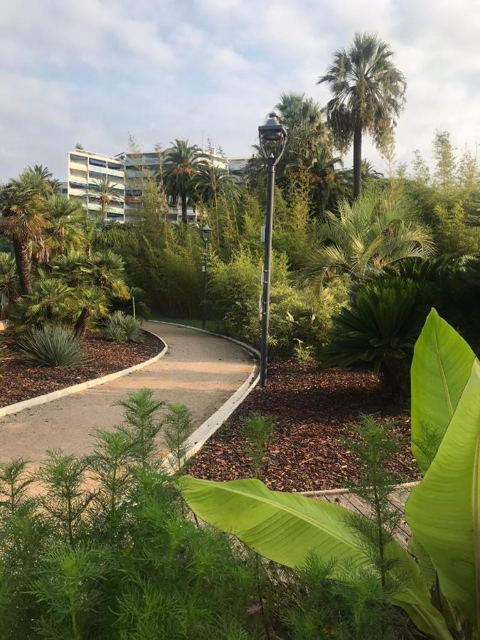 Tres Beau T2 Dans Parc Montfleury ,Proche Centre ,Au Calme 44 Bd Montfleury Leilighet Cannes Eksteriør bilde